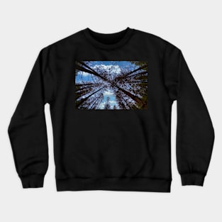 Wide angle fisheye photograph of trees Crewneck Sweatshirt